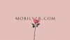Mobilyar